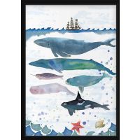 Poster - Whales