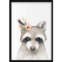 POSTER - Raccoon