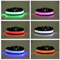 Reflex LED collar for dogs