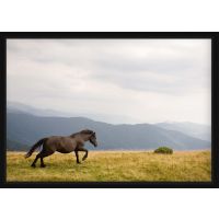 Poster - Icelandic Horse