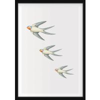 POSTERS - Swallows