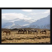 Poster - Wild Horses