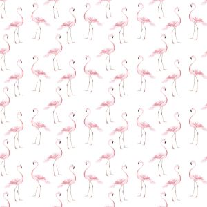 Wall Mural -   Flamingos